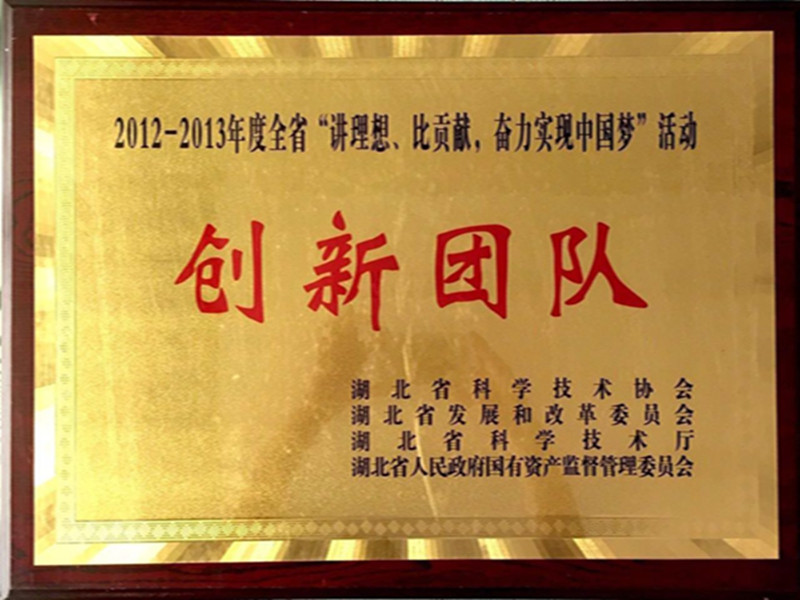 湖北省2012-2013年度“講理想，比貢獻”創(chuàng)新團隊.jpg